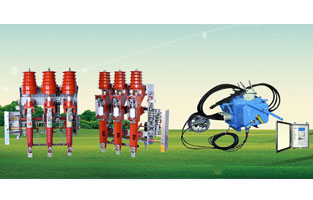 關(guān)于高壓負(fù)荷開關(guān)前面雷爾沃電器已經(jīng)為大家整理了不少知識，不知道你對柱上負(fù)荷開關(guān)有了解沒？如今在市場上比較常見的柱上負(fù)荷開關(guān)主要是壓氣式負(fù)荷開關(guān)以及真空負(fù)荷開關(guān)，我們分別來為大家做一個比較簡單的講解。
